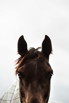 JWP_4623-Edit.jpg